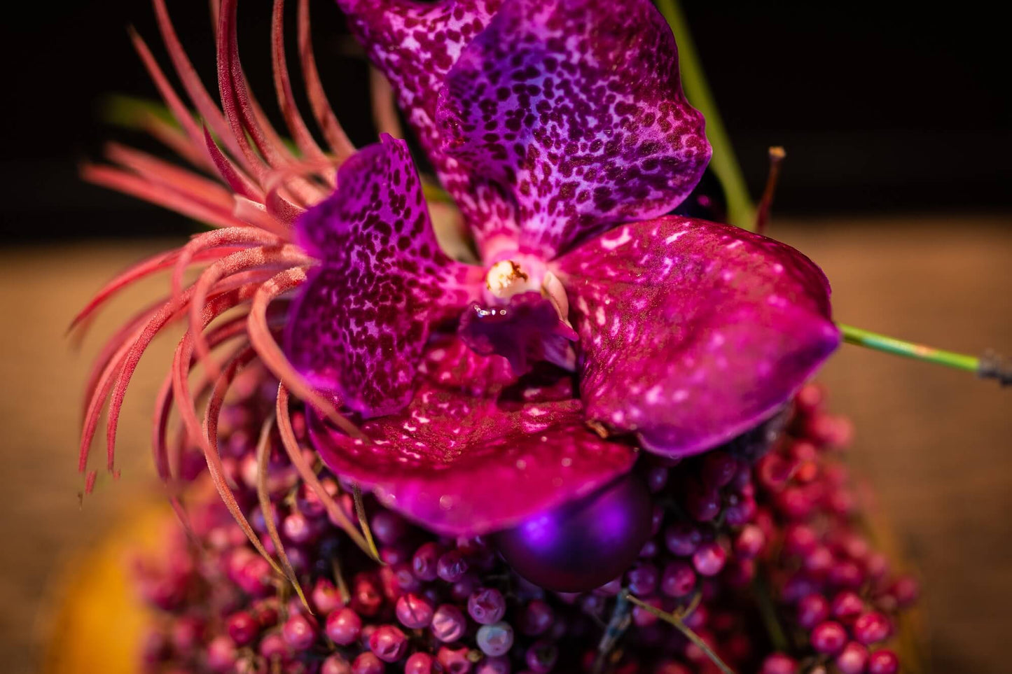 Pfefferpraline Violet Plum