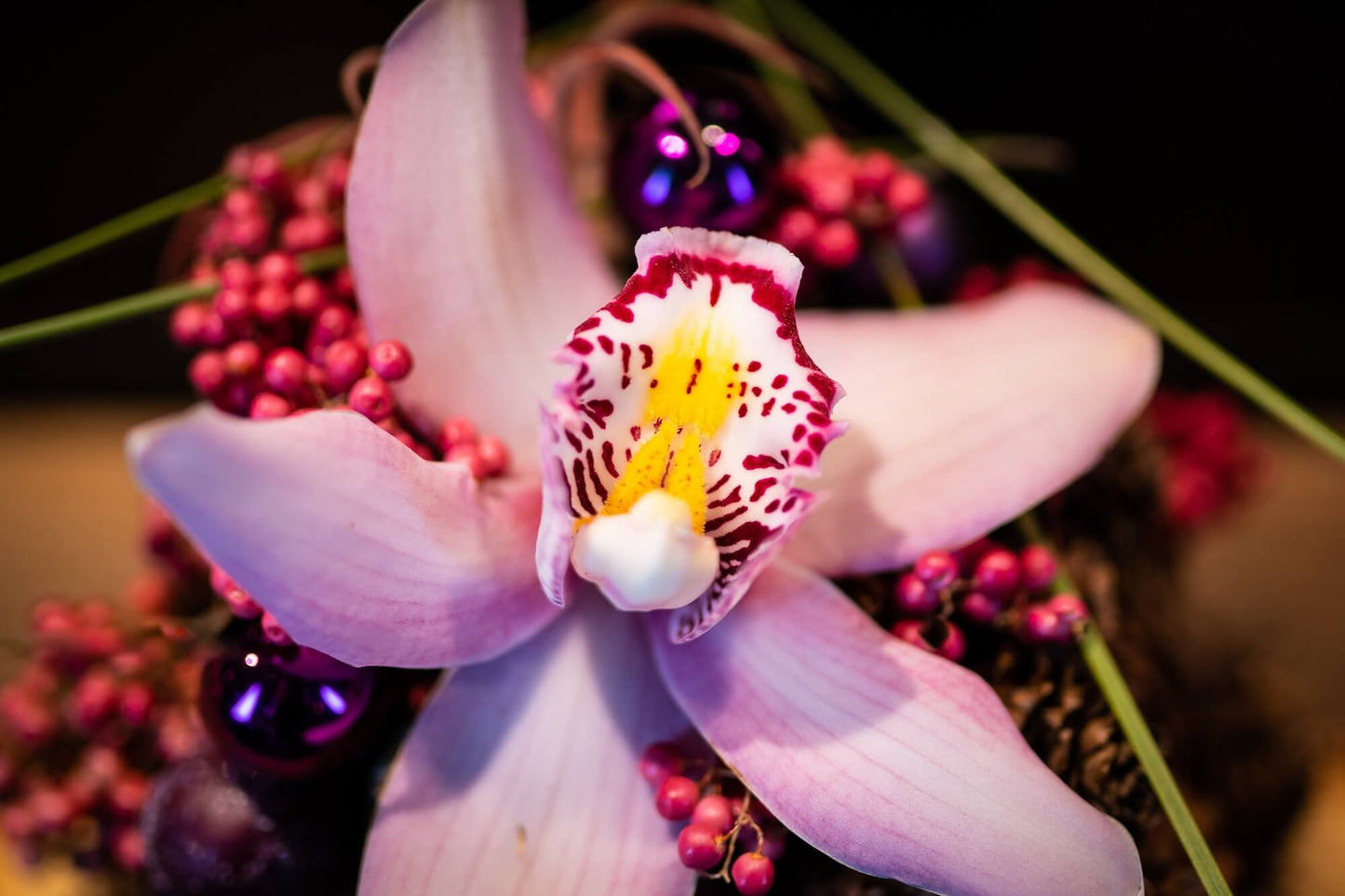 Weihnachtspraline Violet Plum