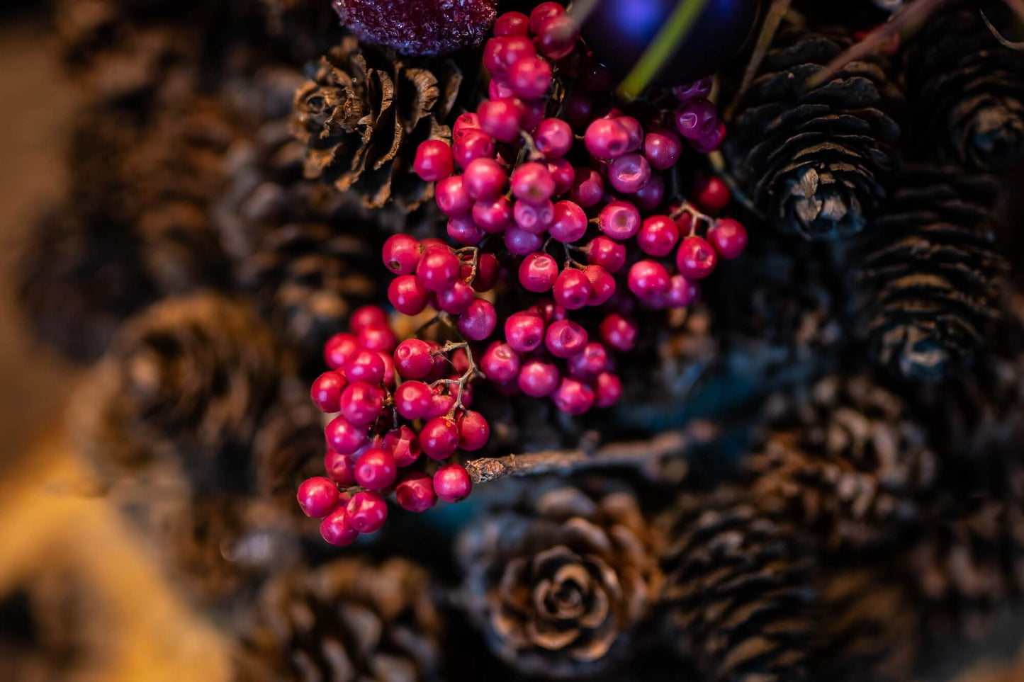 Weihnachtspraline Violet Plum